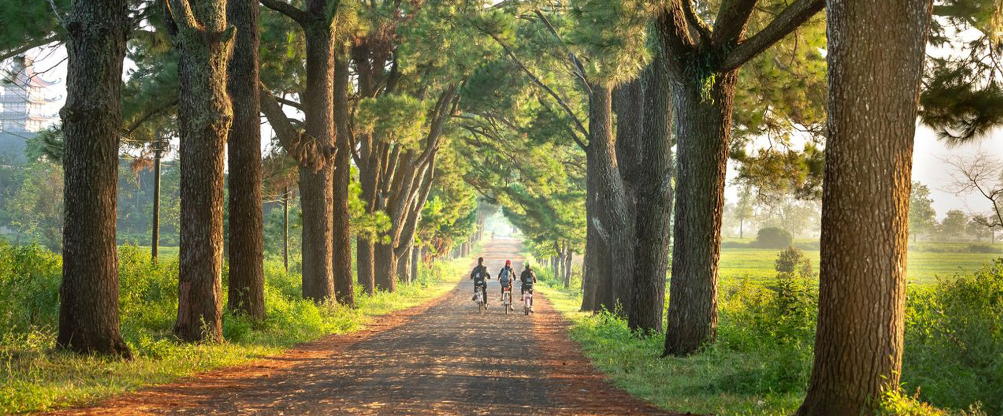 De voordelen van een Brabantse herfstwandeling