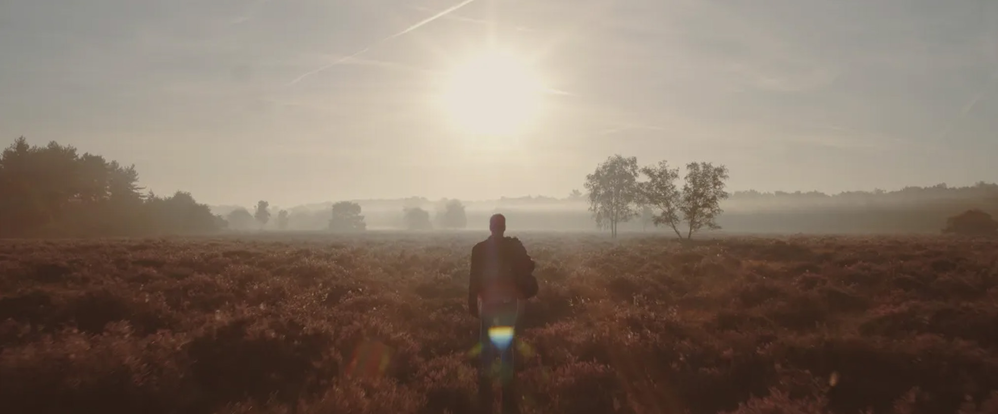 De voordelen van een Brabantse herfstwandeling