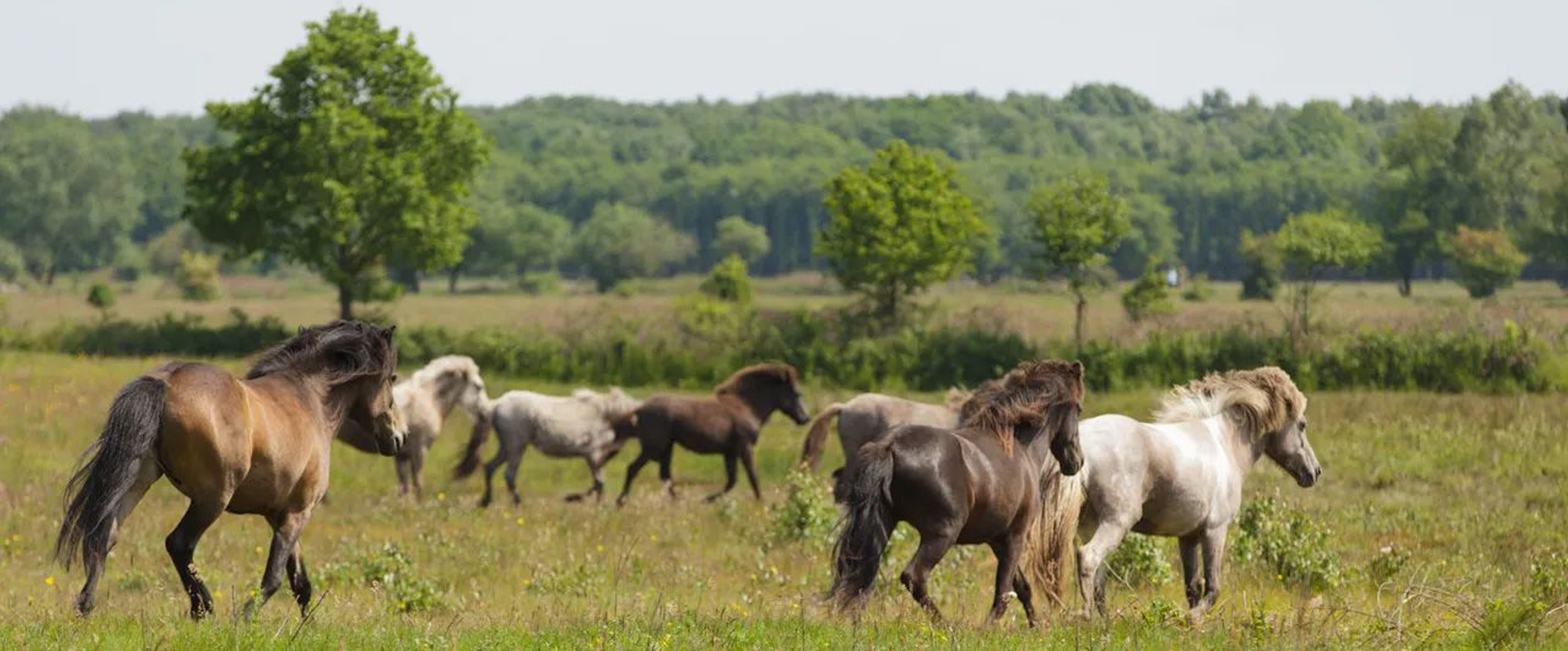 Genieten van de lentekriebels in Brabant: zo doe je dat!