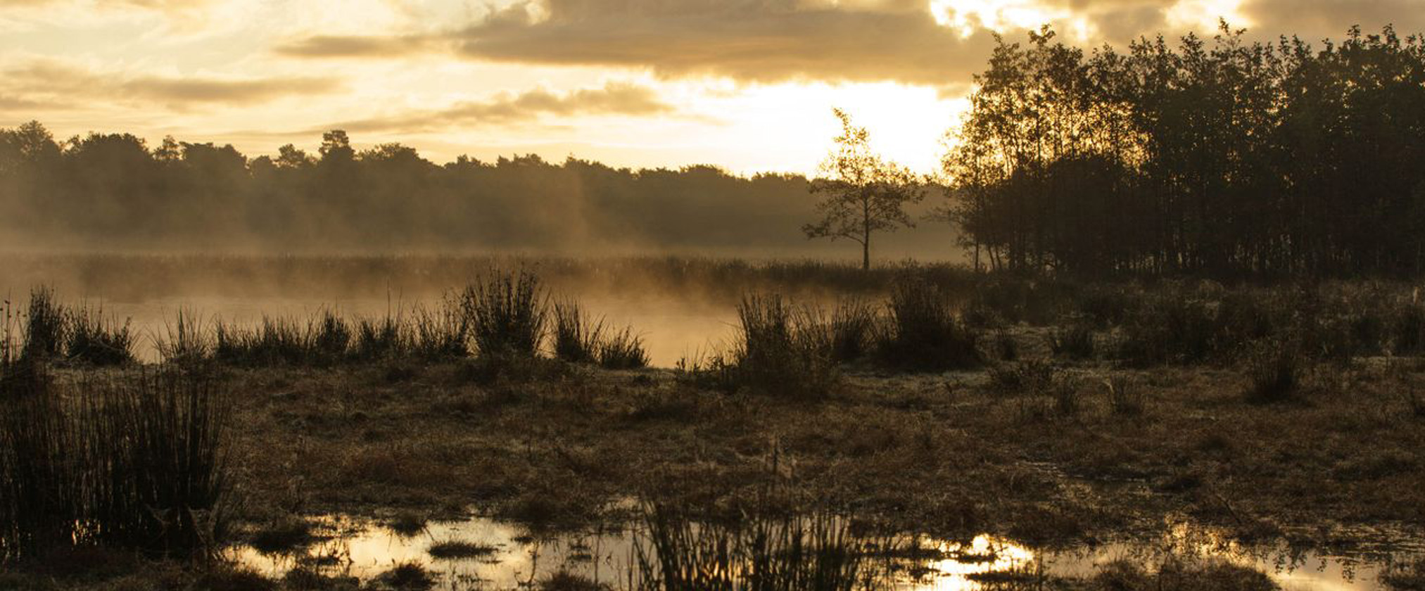 1 Optimaal genieten van de herfst in Brabant