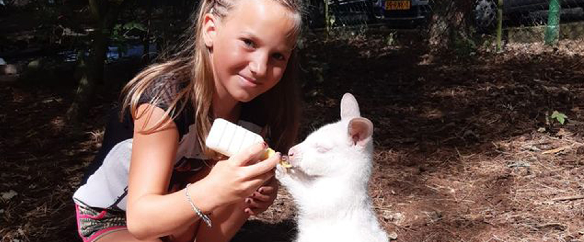 2 Ontdek de Brabantse DIEREN beestenboel