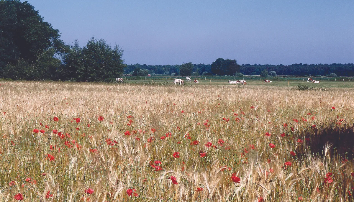 Brabant streekproducten lekkerder en gezonder