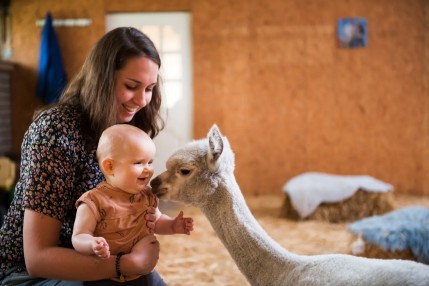 Alpacafarm Vorstenbosch_H