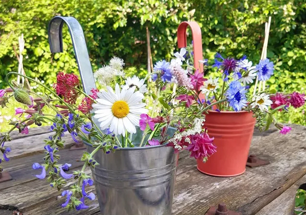 Bloemen Pluktuin Oss