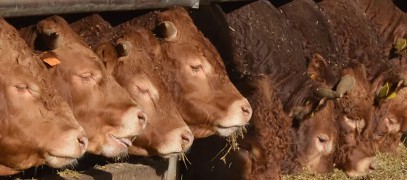 Boerderijwinkel `Bij ons thuis`