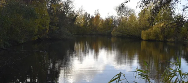 De Kraaijenbergse Plassen