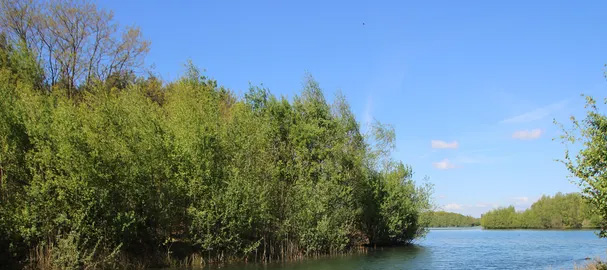 De Kuilen - natuur en recreatiegebied