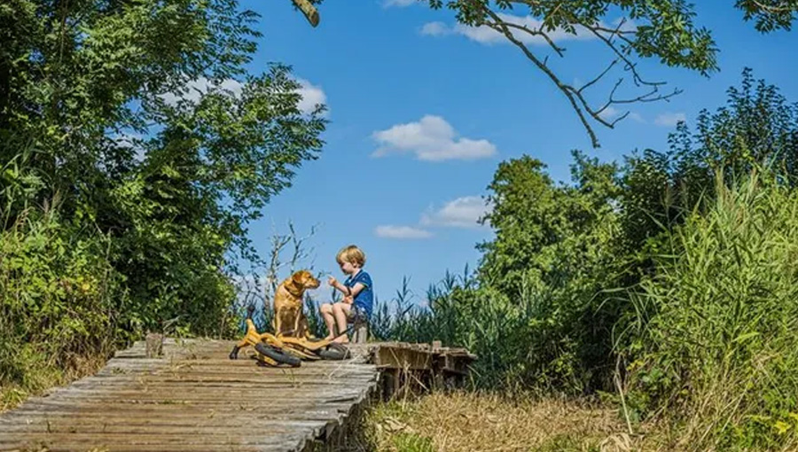 Dynamische wandelroute langs Ons Mams Benkske