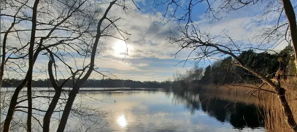 Ontdek de Geffense Plas/ Strand Tien