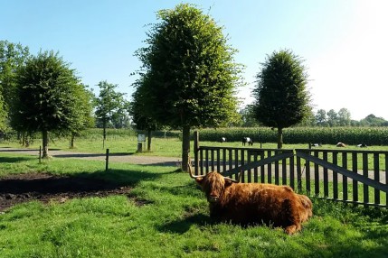 Minicamping Bedafs Hofke in Uden