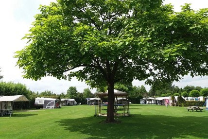 Minicamping Bedafs Hofke in Uden