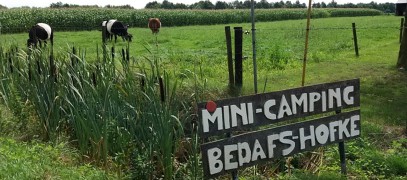 Minicamping Bedafs Hofke in Uden