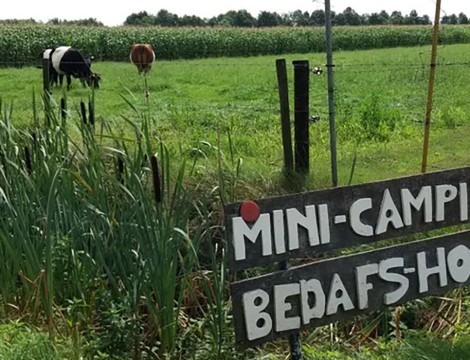 Minicamping Bedafs Hofke in Uden