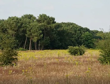 Naturistenvereniging De Peelrand