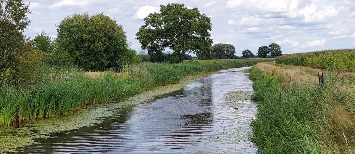 Rondje op de fiets langs het water AA maashorst