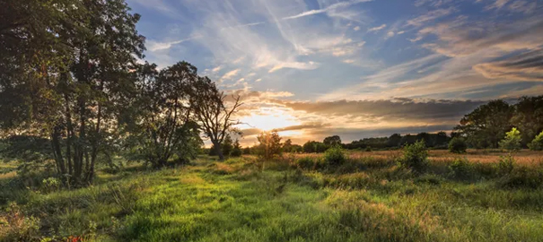 Wandelen Noord Brabant