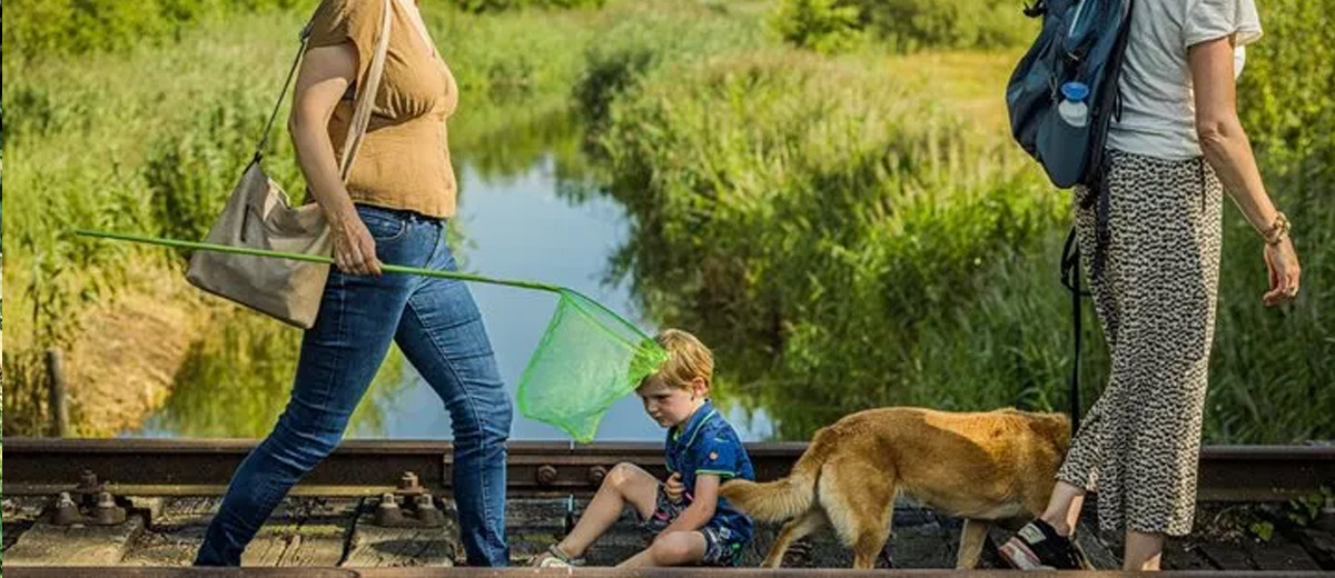 Waterschap Aa en Maas watersysteem De Maashorst