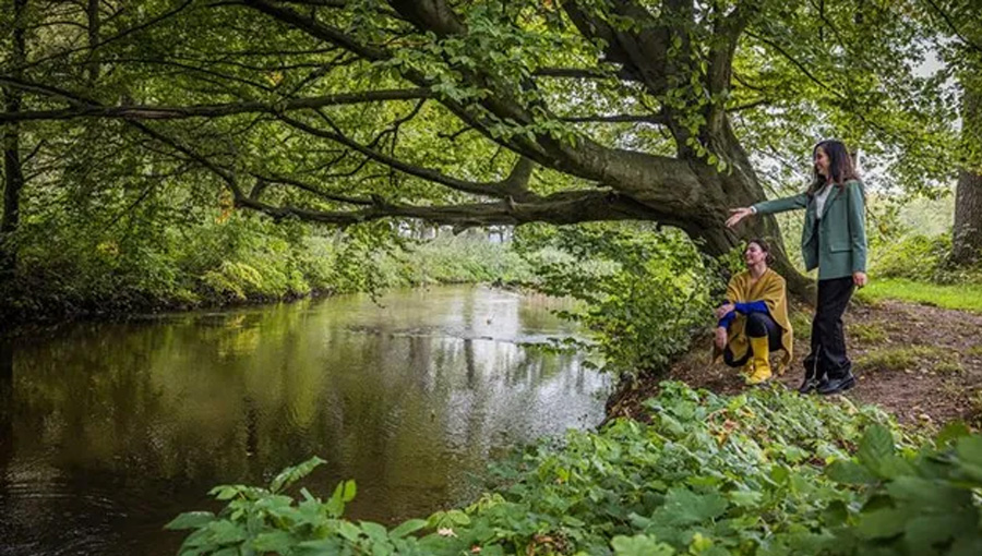 Waterweetjes wandeling Starkriet 4 kilometer