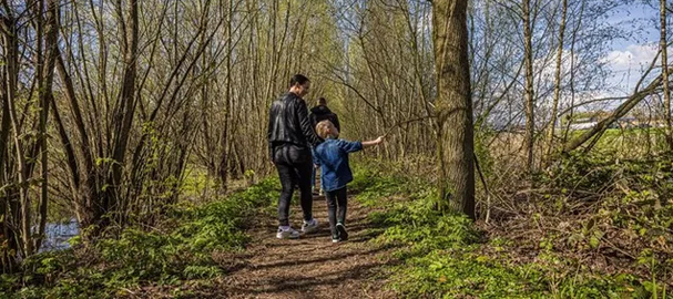 Waterweetjes wandelingen