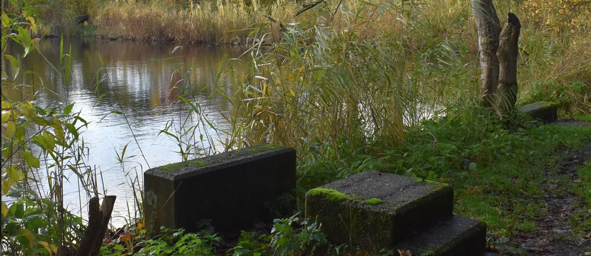 buiten zwemmen oude zwembad zoals het Ossermeer