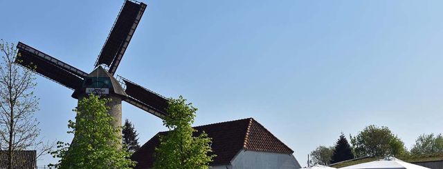 kilsdonkse-molen-3