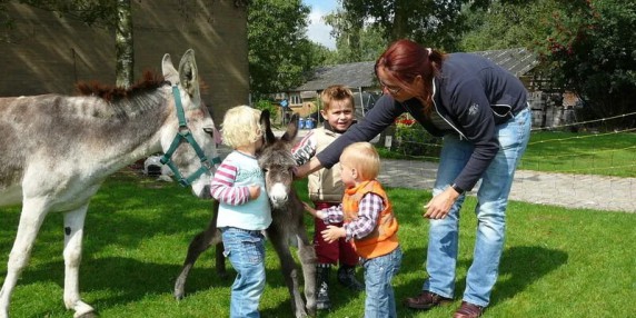 De Kreitsberg B&B tot boerderijcamping wijngaard wandelen met ezels