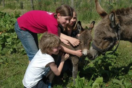 De Kreitsberg B&B tot boerderijcamping wijngaard wandelen met ezels