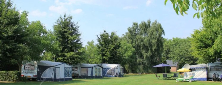 Minicamping De Lindenhoeve Nistelrode kamperen in natuurgebied De Maashorst