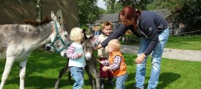 De Kreitsberg B&B tot boerderijcamping wijngaard wandelen met ezels