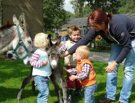 De Kreitsberg B&B tot boerderijcamping wijngaard wandelen met ezels